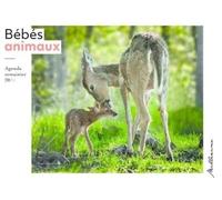 Agenda Semainier Bébés Animaux