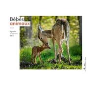 Agenda Semainier Bébés Animaux - Edition 2024