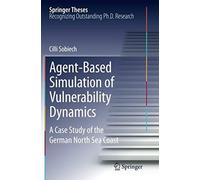 Agent-Based Simulation Of Vulnerability Dynamics