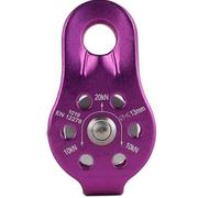 Ages Poulie D'escalade Plaque Latérale Fixe Poulie Simple Poulie Outil De Survie En Plein Air Haute Altitud Traverse Équipement De Transport