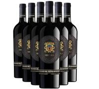 Aglianico del Vulture Superiore Serpara - Rouge 2019 - Re Manfredi - Vin Rouge d'Italie (6x75cl)