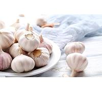 Aglio Bulbi Piantare All'aperto croccante Delizioso Grande Scelta - 400 g