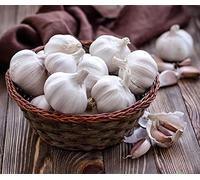 Aglio da Semina -Aglio Pregiato - IDEALE per la Semina e per il Consumo alimentare-Lunga durata, 200g