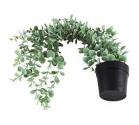 Agmoctz 1 plante artificielle à suspendre d'eucalyptus en pot pour mur, maison, terrasse, intérieur et extérieur, décoration