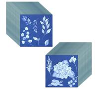 Agmoctz 60 Feuilles de Papier Cyanotype Kit D'Art D'Impression Solaire Papier Solaire Haute Sensibilité Kit D'Impression Nature-Sun Papier D'Art de Dessin