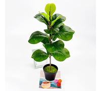 Agmoctz Plantes Artificielles Violon Feuille Figue Faux Ficus Lyrata Arbre Faux Buissons Verts pour Jardin Porche FenêTre BoîTe DéCor