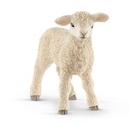 Agneau (Bundle)