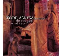 Agnew, Todd & Friends - Do You See What I See
