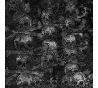 Agnus Dei