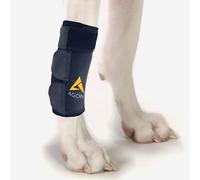 AGON Attelle de Compression pour Patte Avant pour Chien - Protège Les plaies et prévient Les blessures et Les entorses - Aide à réduire la Perte de stabilité causée par l'arthrite (Taille L/XL)