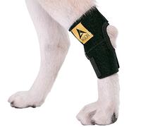 AGON® Bandage de compression pour chien avec sangles pour pattes arrière protège les plaies et prévient les blessures et les entorses Aide à réduire la perte de stabilité causée par l'arthrite (taille