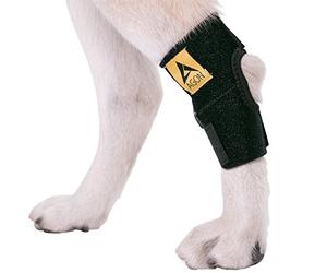 AGON® Bandage de compression pour chien avec sangles pour pattes arrière protège les plaies et prévient les blessures et les entorses Aide à réduire la perte de stabilité causée par l'arthrite (taille