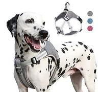 AgoumLux Harnais Chien Réglable Réfléchissant Anti Traction Gilet Durable en Nylon pour Taille Grands Moyens Petits