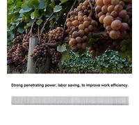 Agraches à Attachement, Bandes d'ongles de Vigne de Tomate pour Reliure des Plantes avec Roue en Acier en Tungstène, 10000pcs, Acier à Haut Carbone, économie de Main-d'œuvre, Application Large,