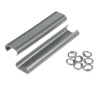 Agrafe à grillage lot par 1000