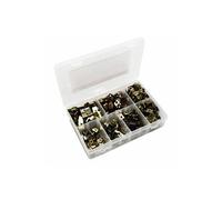 Agrafe-ecrou tole vis carrosserie (assortiment) (boite de 700 pieces) n/a G