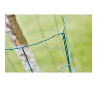 Agrafes grillage plastifiées vert Rapid VR22, boîte de 1100