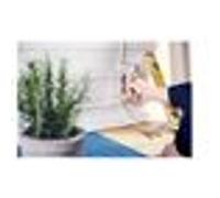 Rapid Agrafes pour câble N° 36 12 mm (11885110) – boîte de 5000 – fil galvanisé