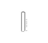 Bostitch Agrafes S4 50 mm galvanisées pour S4650/750S4/S4765/765S4/863S4/KL-41 Boîte de 10000
