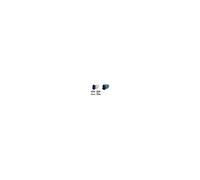 Rapid Agrafeuse électrique 5025E – Sans contact, 25 feuilles, LED, Flat Clinch, blanc