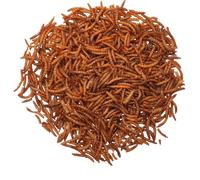 Agrarshop Vers de farine 10 kg Nourriture pour oiseaux hivernale Complément alimentaire