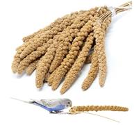 Agrarzone Millet à piston autrichien - 100 % de millet frais et régional - Nourriture pour oiseaux faible en calories pour perruches et canaris (1 kg)
