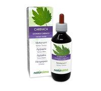 Agripaume ou Cardiaque (Leonurus cardiaca) herbe avec fleurs Teinture Mère sans alcool Naturalma - Extrait liquide gouttes 200 ml - Complément alimentaire - Végétalien ou végan