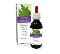 Agripaume ou Cardiaque (Leonurus cardiaca) herbe avec fleurs Teinture Mère sans alcool Naturalma - Extrait liquide gouttes 120 ml - Complément alimentaire - Végétalien ou végan