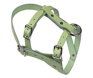 Agritura Licol pour Mouton et bélier,Cuir/Blanc - A01195