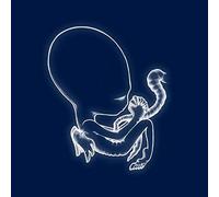Sigur Rós – Ágætis Byrjun – Vinyle 12" Album