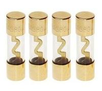 Agu fusibles 10 ampere (or) 4 pieces G