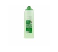 Agua Lavanda Agua Lavanda Puig Colonia 750ml