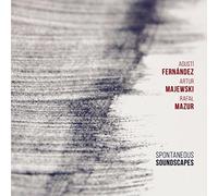 Agusti Fernandez - Spontaneous Soundscapes [Import]