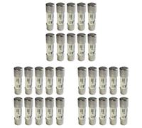 Agwuoetr 30 Pièces 1000 Fusible Solaire Pv Anti-Déflagrant Fusible Argent - 20A