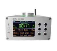 Agwuoetr Amplificateur d'alimentation Numérique 100W Data-HiFi 320 Bluetooth HiFi Audio Decoder PC Carte Sonore