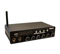 Agwuoetr Carte D'Amplificateur de Puissance Bluetooth -AS200 200 W Bluetooth 5.1 KTV Module D'Amplificateur Audio Numérique