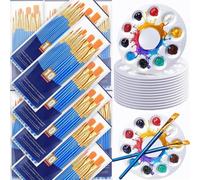 Agwuoetr Ensemble de 264 Pinceaux et Palettes, Lot de 24 Pinceaux (240 Pièces), 24 Plateaux de Peinture, Pinceaux Acryliques pour Artistes.