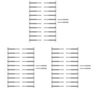 Agwuoetr Kit de Garde-Corps à Câble de 60 Paquets, Tendeur SST316Swage et Borne Cachée pour Garde-Corps à Câble, pour Bois/Niveau/Poteau D'Escalier