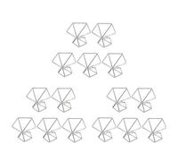 Agwuoetr Lot de 15 Supports pour Plantes à Air Supports pour Plantes à Air Tillandsias Présentoir pour Plantes Purificatrices d'air Support pour Fougère à Air, Argent