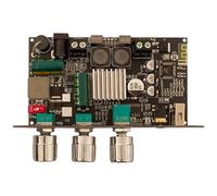 Agwuoetr Module D'Amplificateur BT Mono -1001U DC 9-24 V 100 W Compatible avec pour Puce D'Amplificateur APP TPA3116D2, Prise 5,5 X 2,1 Ports.