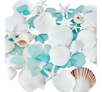 AHANDMAKER Coquillages naturels mélangés de 2,5 à 5,1 cm, 429,6 g, pièces de verre de mer vertes décoratives pour loisirs créatifs, plage, mariage, vase, aquarium, océan, plage, fête, décoration