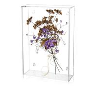 AHANDMAKER Présentoir de livre en acrylique transparent à support mural pour bible, étui de protection pour livres de collection, figurines, bijoux (17,8 x 25,4 x 5,1 cm)