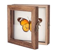 AHANDMAKER Vitrine D'Exposition pour Insectes avec Dessus Transparent, Boîte de Rangement pour Spécimens D'Insectes, Étui de Rangement en Bois pour la Collecte D'Échantillons, 6 x 6 pouce