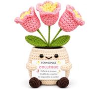AHEZQILU Pot De Fleurs Au Crochet - Cadeau Collegue De Travail Femme Original pour Anniversaire, Idée Depart Ou Retraite avec Message, Présent pour Elle, Déco Bureau Unique, Noël Et Fête