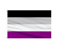 AhfuLife Drapeau Asexuel Arc-en-Ciel LGBT 90x150cm, 1Pcs Drapeau Gay Pride Double Face avec Œillets Laiton en Polyester pour Pride Day Marche des Fiertés Événement Decor Jardin Bar Masion