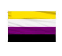 AhfuLife Drapeau Non Binaire Arc-en-Ciel LGBT 90x150cm, 2Pcs Drapeau Gay Pride Double Face avec Œillets Laiton en Polyester pour Pride Day Marche des Fiertés Événement Decor Jardin Bar Masion
