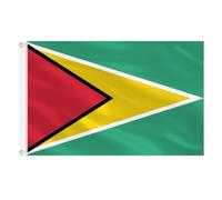 AhfuLife Grande Drapeau Guyana 90×150cm, 1Pcs Drapeau Guyana Double Face avec œillets en Laiton en Polyester pour Fête Nationale Coupe du Monde Football Sportive Jardin Bar Marches Décor