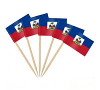 AhfuLife Lot de 100/200 drapeaux cure-dents pour fête nationale, sandwich, nourriture, cupcakes, vaisselle, coupe du monde, pub, événement royal (Haïti, 100 pièces)
