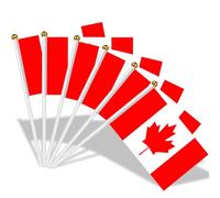 AhfuLife Petit Drapeau Canada - 100Pcs Mini Drapeaux Canada avec Poteau Solide Blanc de 30cm pour Décoration Jardin Bar Celebration Football Féminin, Coupe du Monde, Fête Nationale