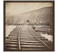 Ahi - We Made It Through The Wreckage [Vinyl]